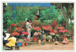 COTE D'IVOIRE - Cocody - Marché Aux Fleurs - Carte Postale - Ivory Coast