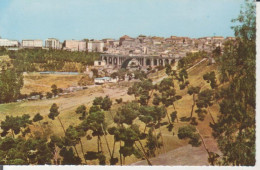 Algerien: Constantine - Vue Sur Le Pont De Sidi-Rached Ngl #223.551 - Non Classificati