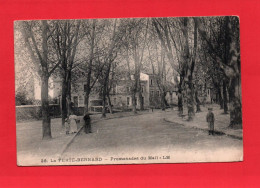 F 21535 LA FERTE BERNARD Promenades Du Mail   ( Enfants ) 72 - La Ferte Bernard