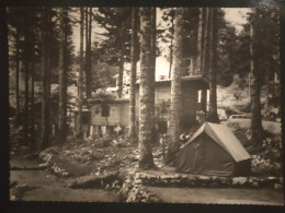 Postojna. Camp Hotel Jama Pivka 1962. Complete Postcard - Slovenië