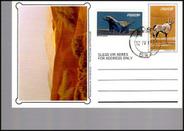 Postcard - Lettres & Documents