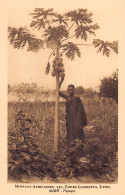 Nigeria - Papaya Tree - Publ. African Missions Of Lyon (France)  - Nigeria