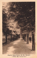 FRANCE - Bonsecours - Hôpital Notre Dame De Bonsecours - L'allée Des Marronniers - Carte Postale - Bonsecours