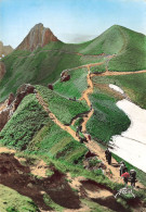 FRANCE - Le Mont Dore - Sommet Du Sancy - Chemin Des Crêtes - Carte Postale - Le Mont Dore