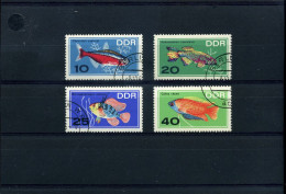 DDR  -  Dieren                                                      - Fishes