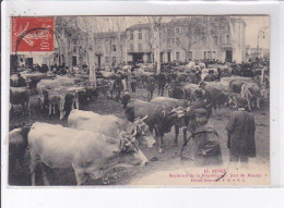 REVEL: Boulevard De La République, Jour De Marché, Boeufs - Très Bon état - Revel