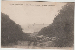 LES SABLES D OLONNE  LA COTE St JEAN L ORBESTIER LE BOIS DE CHENES VERTS - Sables D'Olonne