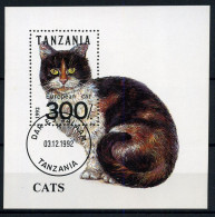 Tanzania - Cats - Gatti
