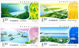 258968 MNH CHINA. República Popular 2010 60 AÑOS DE RECOGIGAS DE AGUAS FLUVIALES - Unused Stamps