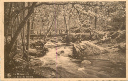 Postcard Belgium Spa La Hoegne Le Pont Du Renard - Spa