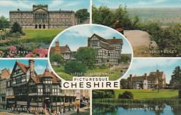Picturesque Cheshire  - Cheshire - Unused Postcard - Che1 - Chester