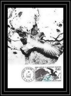 1239 TAAF Antarctic Terres Australes Carte Maximum 132 Petrel Oiseaux (birds) TAAF Antarctic Terres Australes - Storia Postale