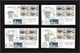 1180 Lot 4 Lettres Cad Différents Taaf Terres Australes Antarctic Covers 31 PHOQUES Signé Signed 1984 Seal Recommandé - Lettres & Documents