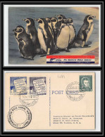 1071 Antarctic Polar Antarctica Chili (chile) Base Navale Arturo Prat 1959 Pinguins - Estaciones Científicas