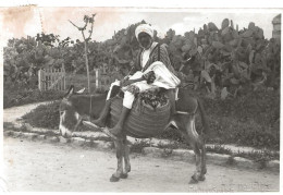 CPA   AFRIQUE  Tunisie   Homme Avec Son  Ane       Circulée   (1422) - Tunesien