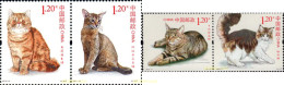 309270 MNH CHINA. República Popular 2013 GATOS - Ungebraucht