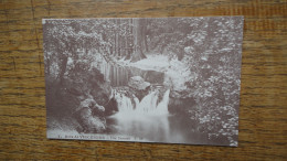 Réédition , Bois De Vincennes , Une Cascade - Vincennes