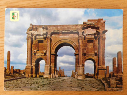 ALGERIE  TIMGAD  L'Arc De Trajan - Sonstige & Ohne Zuordnung