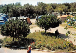 MARSEILLAN PLAGE Vue Partielle Du Camping Municipal 3(scan Recto-verso) MA1137 - Marseillan