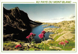 Vallee De Chamonix Massif Des Aiguilles Rouges Le Lac Cornu 22(scan Recto-verso) MA1136 - Chamonix-Mont-Blanc