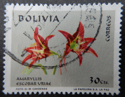 Bolivië Bolivia 1971 (1) Amaryllis Escobar Uriae - Bolivie