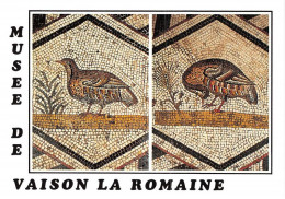 Musee De Vaison La Romaine Perdrix Details De La Mosaique Centrale De La Villa 25(scan Recto-verso) MA1167 - Vaison La Romaine