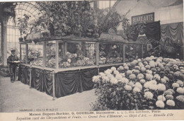 CPA (  Expo) PARIS  Maison DUPONT BARBIER G GOURLIN Expo 1908 Des Chrysanthemes  Et Fruits   (b.bur Theme) - Expositions