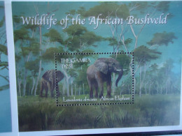 GAMBIA   MNH  STAMPS  SHEET ELEPHANTS - Elefanten