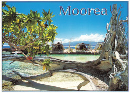 POLYNESIE FRANCAISE - Moorea - Robinsonnade Sur Le Motu Ahi - Carte Postale - Französisch-Polynesien