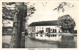 BELGIQUE - Nassogne - Vue Sur La Ferme Des Goffes - Bœufs - Animé - Carte Postale Ancienne - Bievre