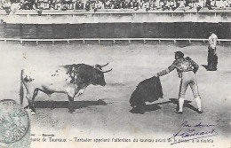 Course De Taureau - Toréador Appelant L'attention Du Taureau - Corridas