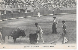 CORRIDA De TORO - Corridas