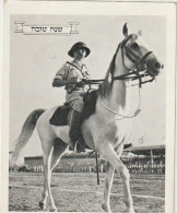 CPA - ISRAEL - MILITAIRE - CAVALIER - ARMEE ISRAELIENNE - Vers 1950 - Israel