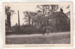 CPA :  14 X 9  -  COLLONGES-sous-SALEVE  - Pittoresque - Other & Unclassified