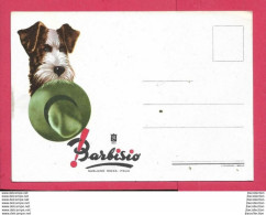 Barbisio - Sagliano Micca (BI) - Non Viaggiata - Werbepostkarten