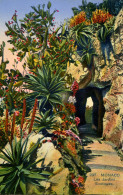 CPA - MONACO - LES JARDINS EXOTIQUES - Giardino Esotico