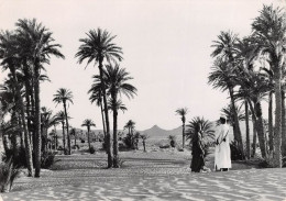 TAGOUNIT La Palmeraie 30(scan Recto-verso) MA1212 - Marrakesh