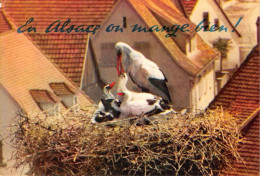 L Alsace Pittoresque En Alsace On Mange Bien 14(scan Recto-verso) MA1206 - Alsace