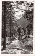 Le Massif Du Mont Blanc CHAMONIX Mont Blanc Le Bois Du Bouchet 14(scan Recto-verso) MA1234 - Chamonix-Mont-Blanc