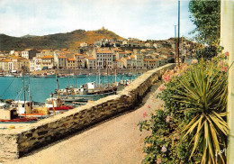 PORT VENDRES Les Bateaux De Peche Alignes Le Long Du Quai 26(scan Recto-verso) MA1233 - Port Vendres