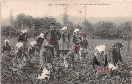 PLOUGASTEL DAOULAS Cueillette Des Fraises 8(scan Recto-verso) MA1248 - Plougastel-Daoulas