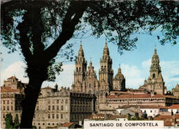 SANTIAGO DE COMPOSTELA - La Catedral Desde El Paseo De La Herradura - Santiago De Compostela