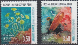 BOSNIA (Croatia) MOSTAR 2024 Europa CEPT. Underwater Fauna & Flora - Fine Set MNH - Bosnien-Herzegowina