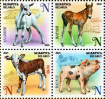 Belarus - 2024 - Domestic Baby Animals - Mint Stamp Set - Bielorussia