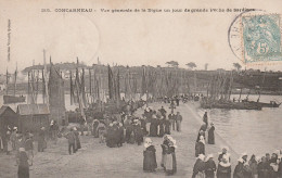 Concarneau (29 - Finistère) Vue Générale De La Digue Un Jour De Grande Pêche De Sardines - Concarneau