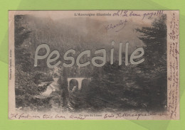 15 CANTAL LAVEISSIERE - CP L'AUVERGNE ILLUSTREE - UN COIN DU LIORAN - PHOTOTYPIE CASTANIE AURILLAC - CIRCULEE EN 1902 - Otros & Sin Clasificación