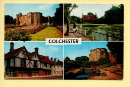 Angleterre : COLCHESTER – Multivues (voir Scan Recto/verso) - Colchester