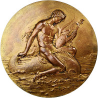 France, Médaille, Le Fabuleux Destin Du Dauphin, 1905, Bronze, Raoul Bénard - Autres & Non Classés