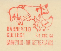 Meter Cut Netherlands 1978 Cow - Pig - Chicken - Hoftiere