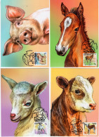 Belarus - 2024 - Domestic Baby Animals - Maximum Cards Set - Bielorussia